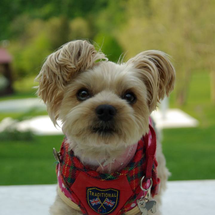 C31ad598 b433 49f4 a3b2 469a9526953c 1772354808349