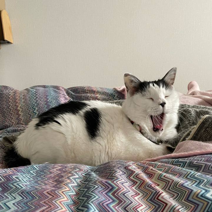 C31b1ef5 193d 4843 a8fd 186b454bc9b0 1648357884016