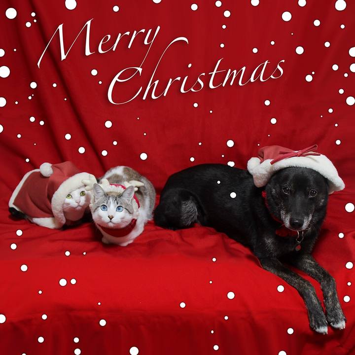 C31b3773 ef3c 42ab 9e1c 26743da79f95 1671977860712