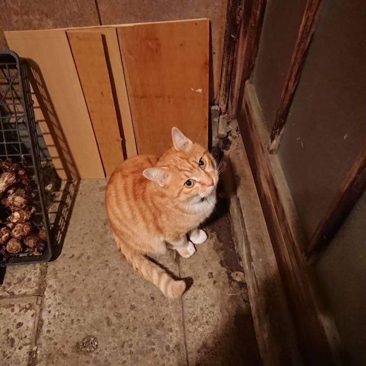 C31b38e7 52f2 4105 9701 333ce41e5b0f 1605948478186