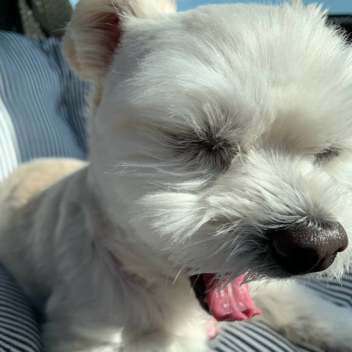 C31b8ebe b563 4aa1 9826 d34145bf0c2c 1637207155017