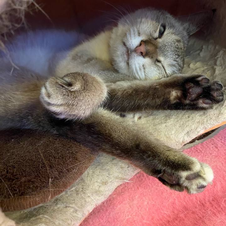 C31b9163 1ae8 4646 85de 7285f6143c7a 1602232885249