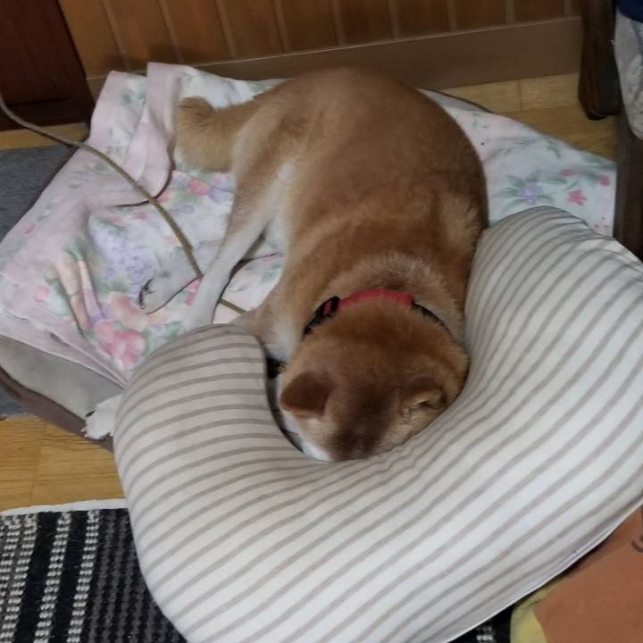 C31b968b db35 4856 b550 0b07f2627f94 1732688172923