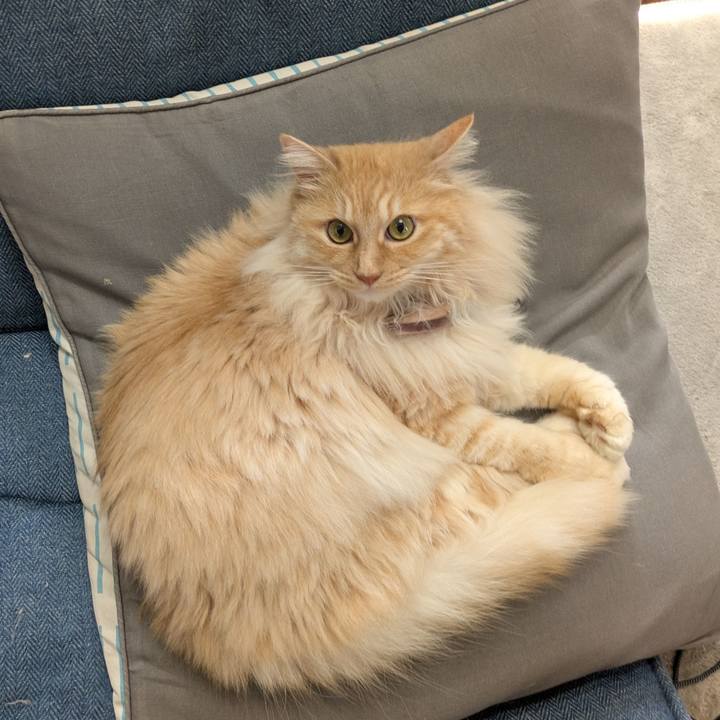 C31b9a68 cfae 440a 8fe7 cd175cea0822 1747787696170