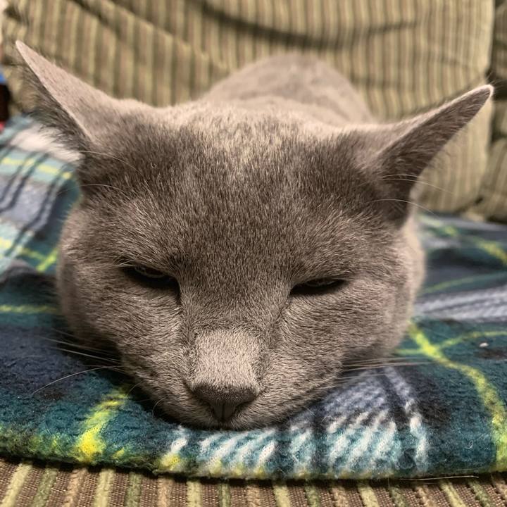 C31ba17e 0110 4c69 b4c3 4c1222bf194d 1584135020361