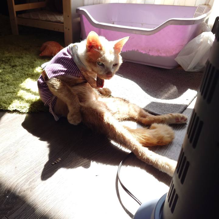 C31bcb5a e158 493c 917d 045a9a5a1a42 1771818753545