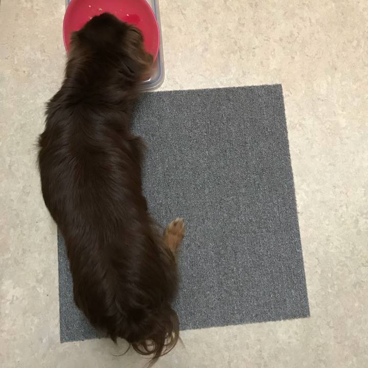 C31c1b92 6f65 4529 92f3 487b1be29be9 1528795232747