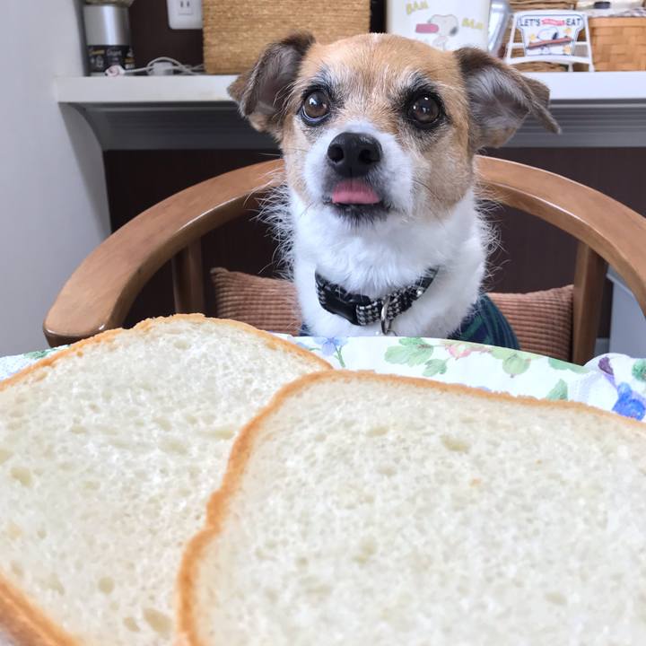 C31c1df2 1688 4a46 bd9c fb65d0867d41 1552461890823