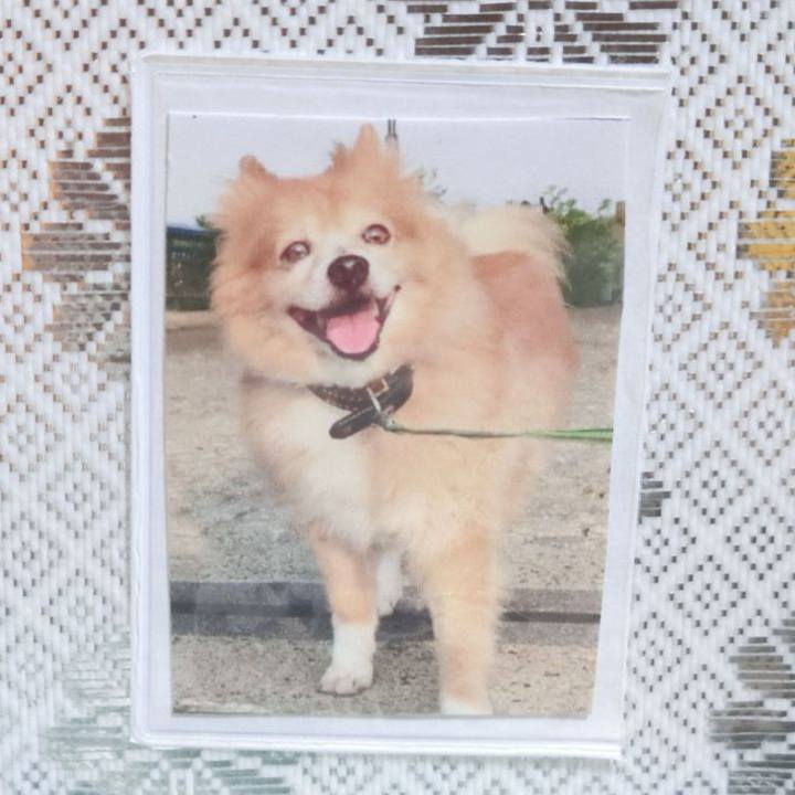 C31c332c 248c 4f9d 9c22 c6da68191be0 1769808974536