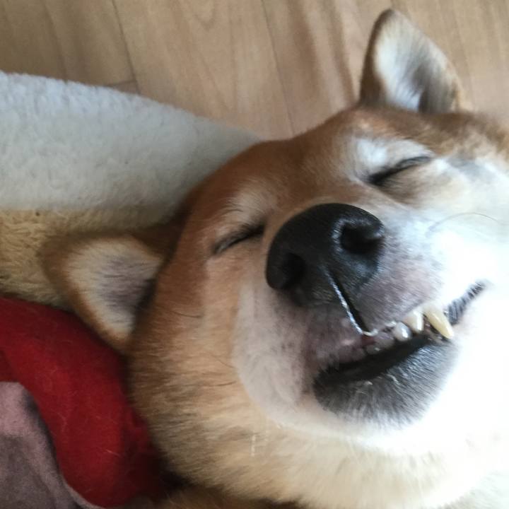 C31c3e90 7775 44e8 9151 00d2e5c0301f 1581584487791