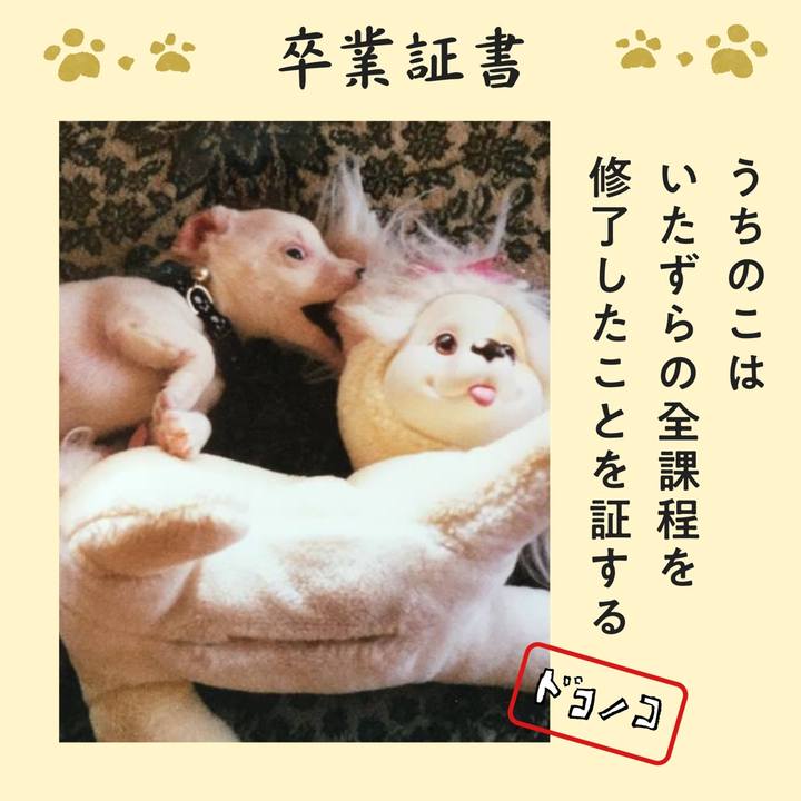 C31c5776 5003 4e88 8780 532ffb42f4d7 1772286548649