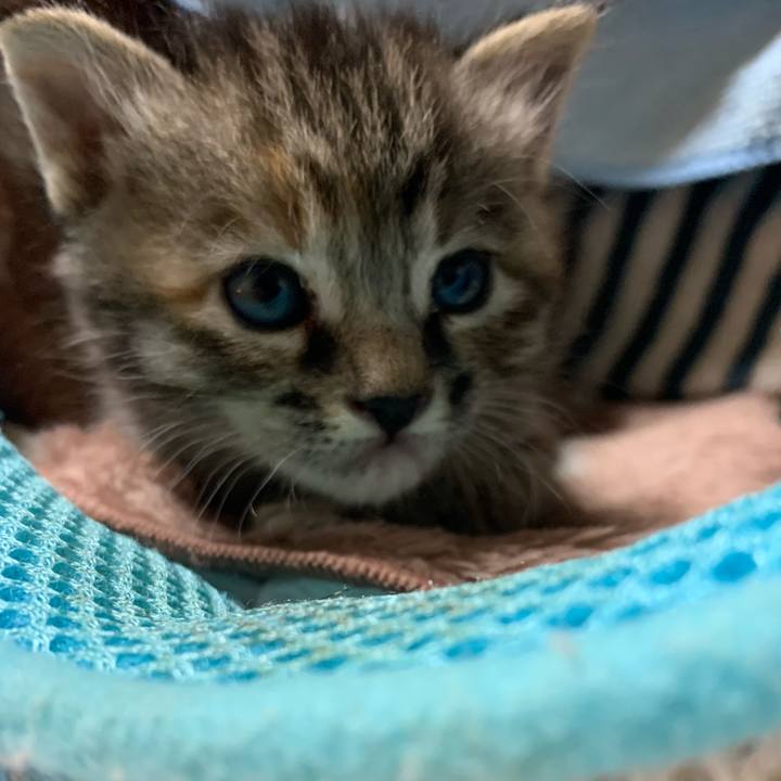 C31caf51 11b4 4eec 8363 659892619dd6 1587896396885