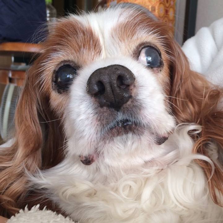 C31ce7aa 0a9b 4c89 b48c 872264e126f9 1550010417253