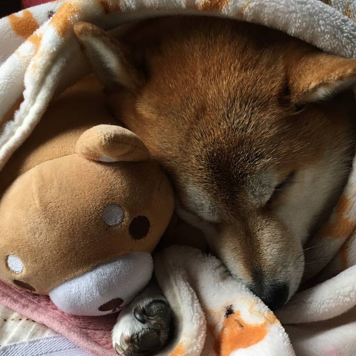 C31d0d07 bbcf 44b9 9d81 11fbbf247c58 1609803864861