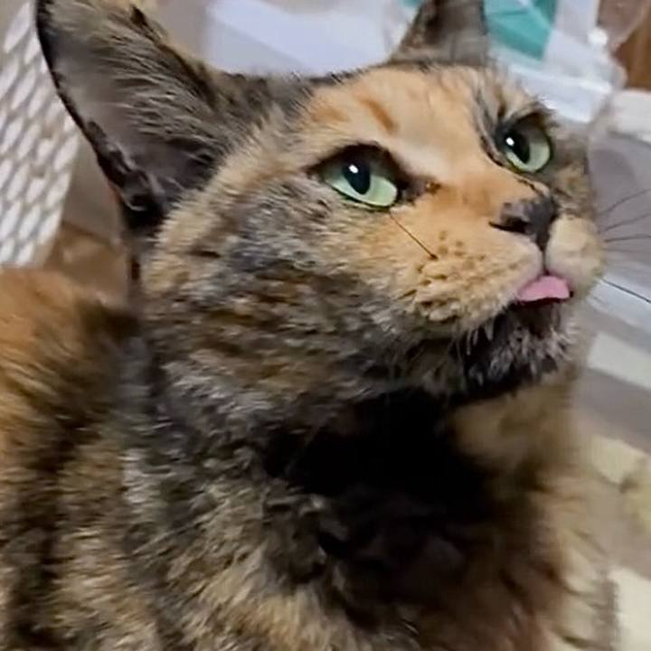 C31d17ee 7423 450a 8408 92f3bf8ba604 1744490148908