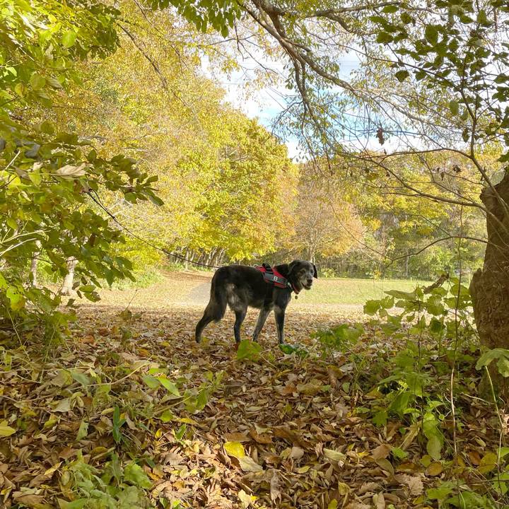 C31d39c1 7248 413d acad f231d2aed8ae 1761561639419