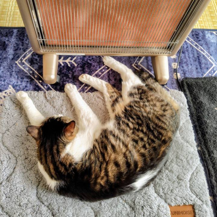 C31d3dfd 449d 4cbc ab96 1f248f1a4f88 1768198095662