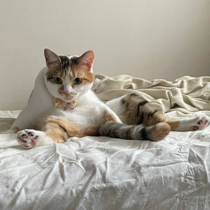 C31d4bbd 1edb 425b 8652 3d5f8334e954 1627117761448