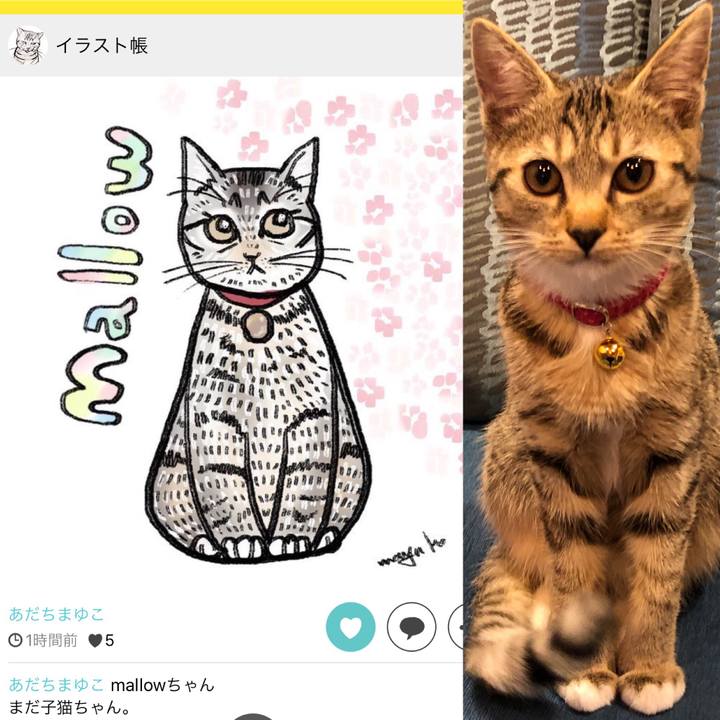 C31d6622 d62e 4044 9446 026c3633892a 1559954812751