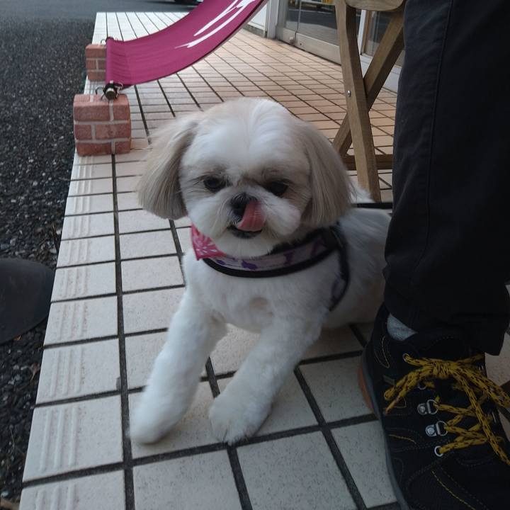 C31d681e 0925 4ab1 8b89 5276416b078e 1655032114377