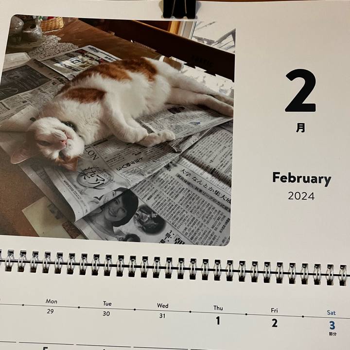 C31d7e98 64c0 4bfe a4df 289d172a56ad 1706869191395