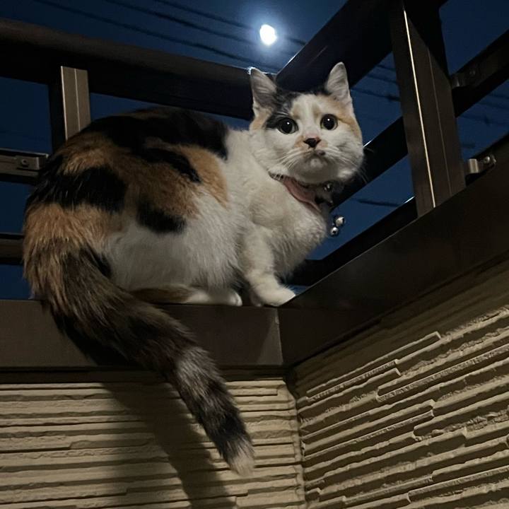 C31dbe87 955e 4825 9c28 9d602a18ce6e 1775134053588