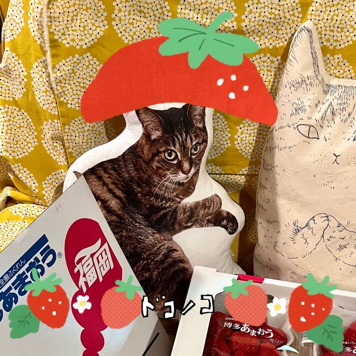 C31dc7cf f33c 430a 9fd3 31eb1d477165 1775350279240