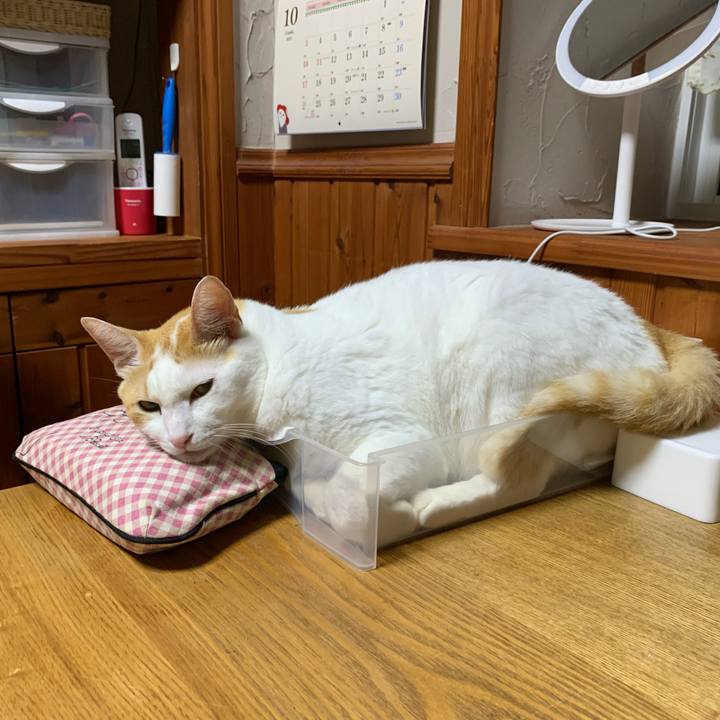 C31df89a efe5 4fc2 b375 0ccb6220ad7e 1634042906155