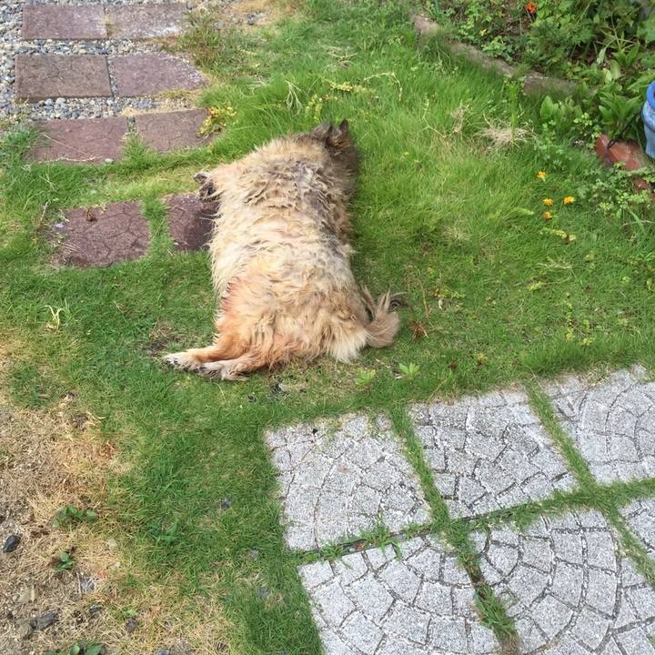 C31e5d92 2a79 4759 b8b4 0d0f58adc04f 1628051558405