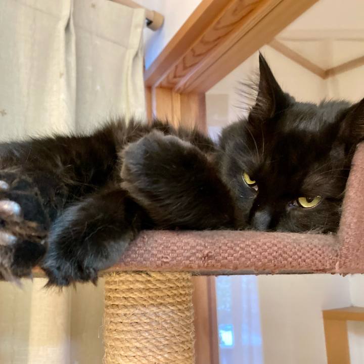 C31ea09f 7445 4797 9c57 66eddf5f83b3 1724107048081