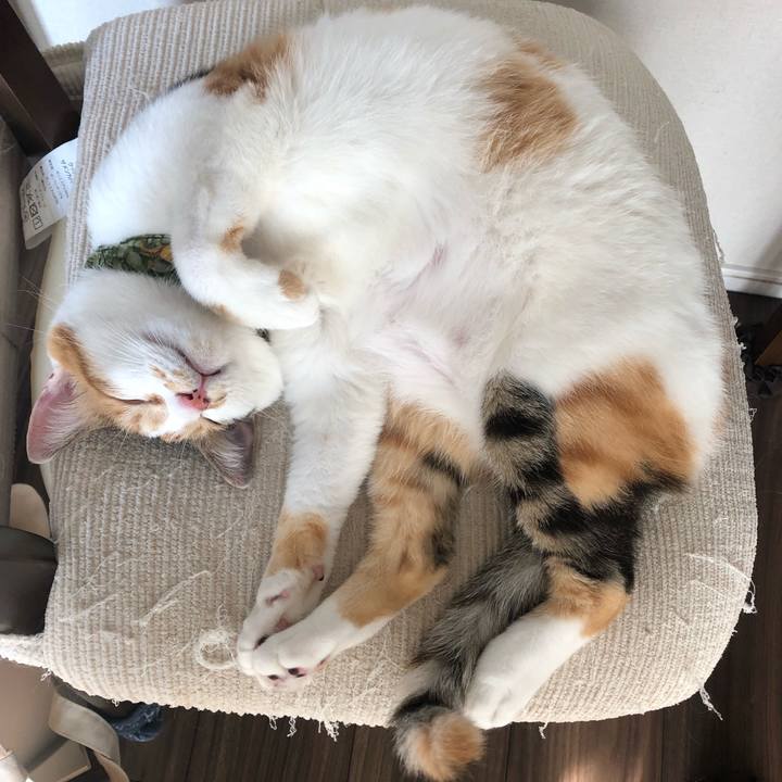 C31eb449 65bb 4f05 9820 4e881482cb94 1595157455669