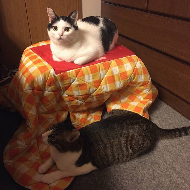 C31ecb86 ad44 4302 8364 73c733ec0669 1539869055484