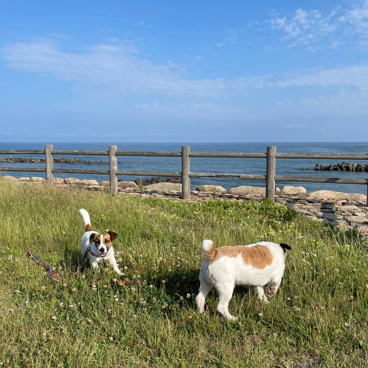 C31ede39 0970 4035 a847 e6943628bc52 1623800835200