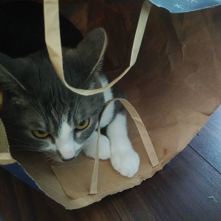 C31ee2af 97ce 4778 81f6 2ead98eeeb9d 1588460000777