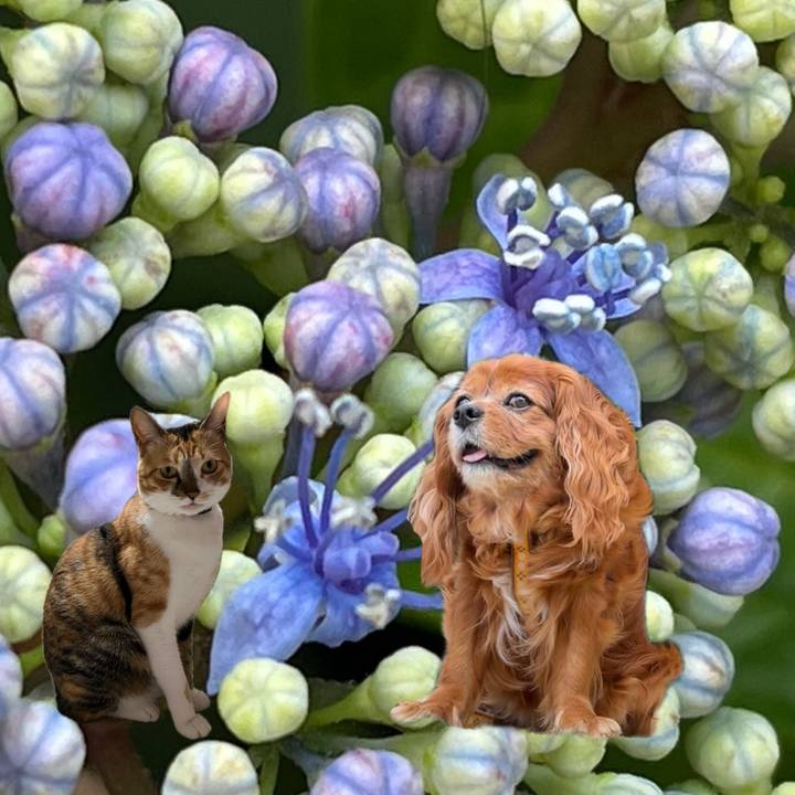 C31ef1d9 a554 47d9 8e11 660de386e5b2 1718316436795