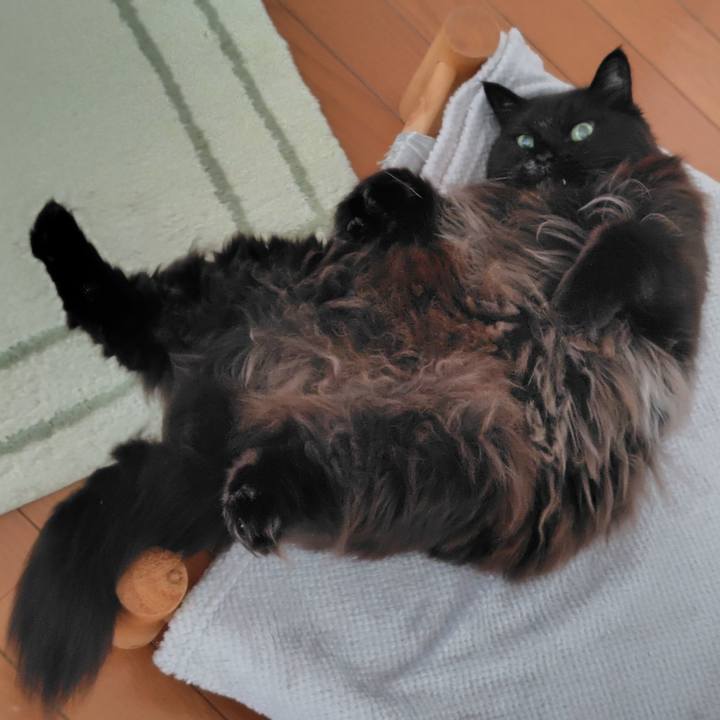 C31f0982 81b0 4072 b0f8 ce4bcd38718a 1771455102818