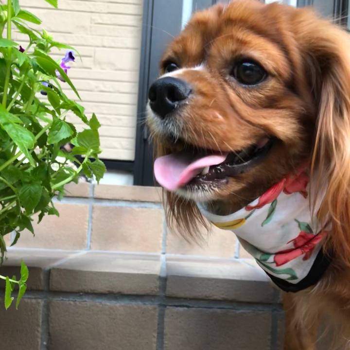 C31f42f2 e3ba 4853 9f54 be58b9562599 1566166900263