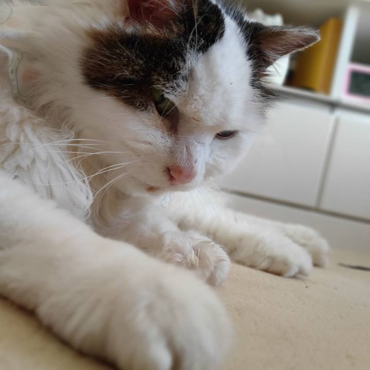 C31f65a3 c531 4965 bfdf d3ee07b98265 1580529513812