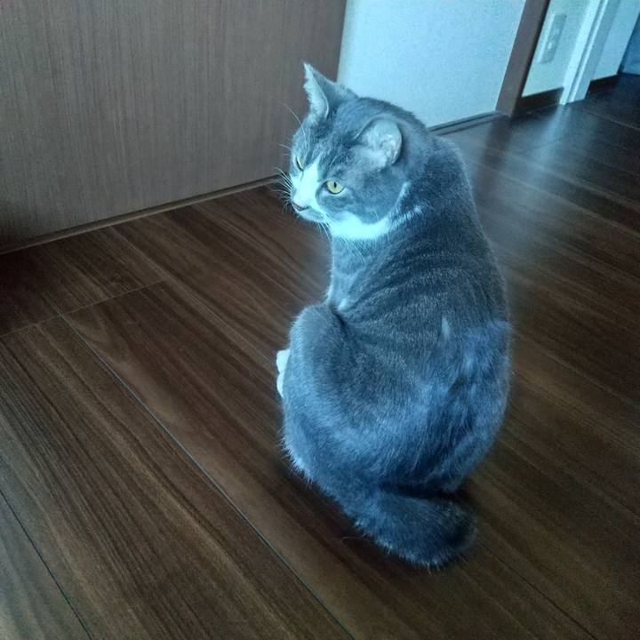 C31f6faf 6f3a 4dcb bd02 37c4fea12f77 1605397833080