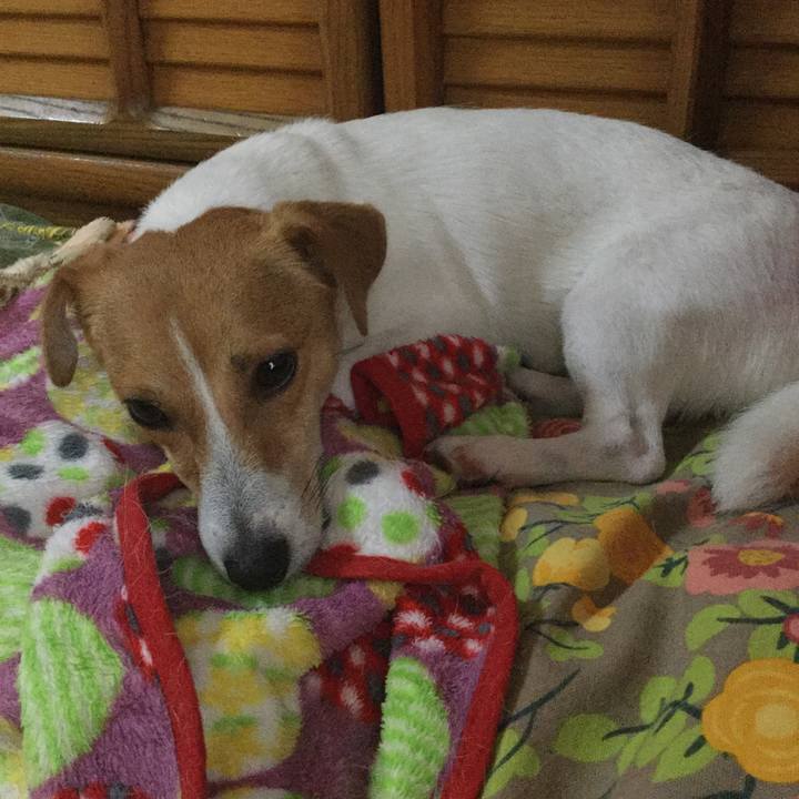 C31f8566 01da 47a5 bb1a f2fc65a93b3d 1532386278887