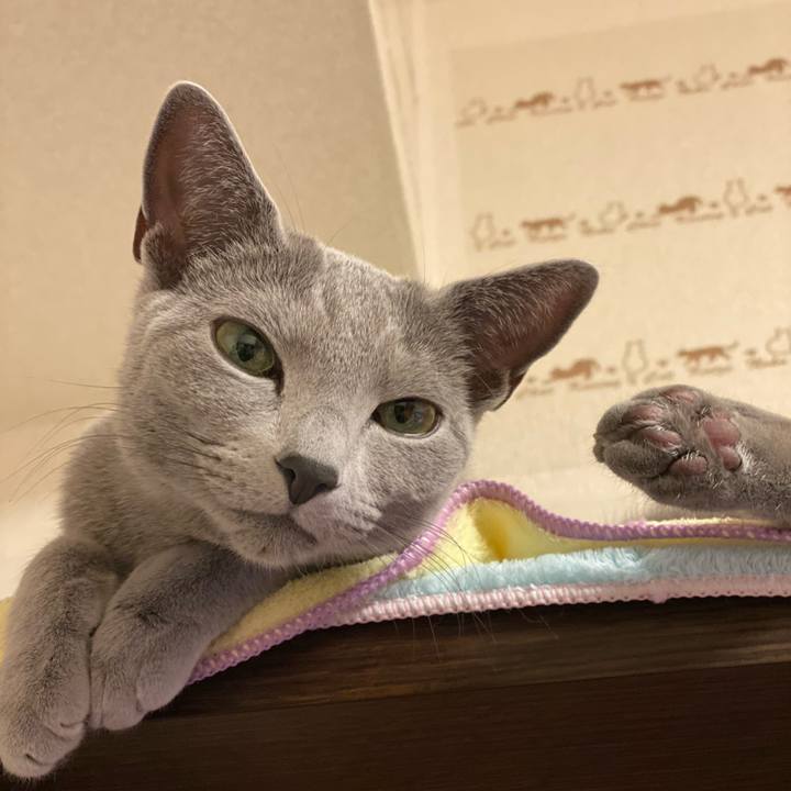 C31fafe5 f41d 49e4 bc30 a29022017cab 1642218798860