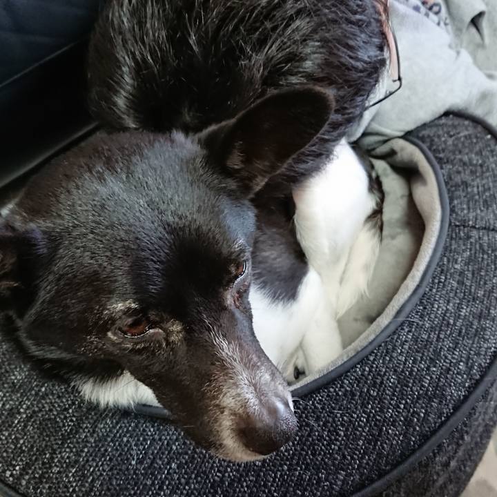 C320169e 49c0 47da a637 d46e47ff749f 1520739987944