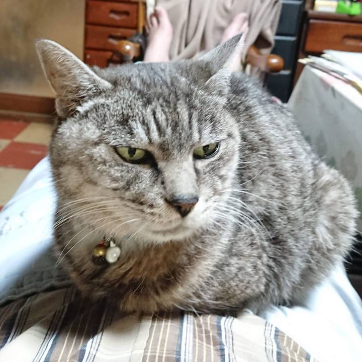 C3201ca2 2b55 4c8e 8ae8 6968de5f5d7b 1604522998904