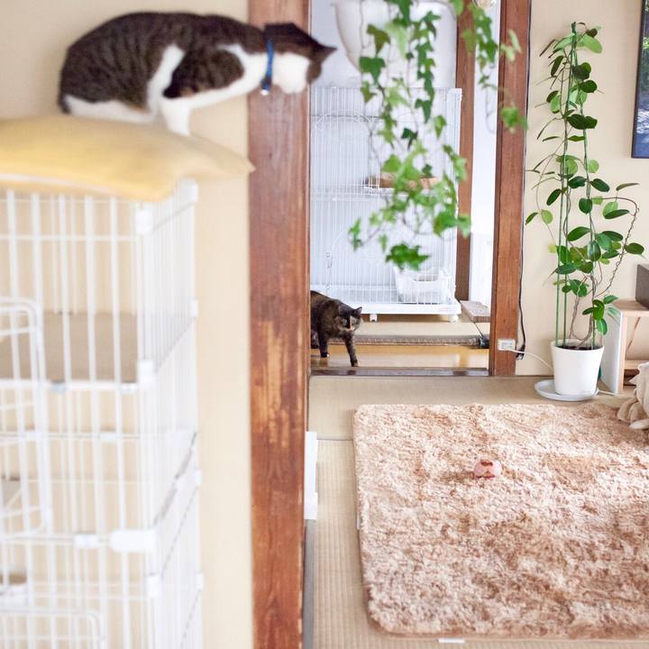 C32081b3 8be3 41ab b6f5 2f8e52879763 1578366247838