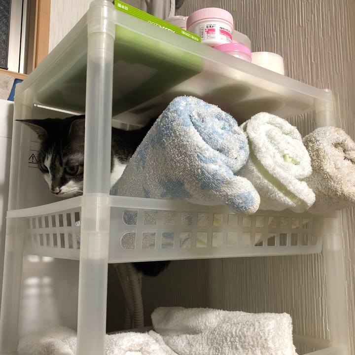 C320885c 1314 49a9 8b20 f55cb2cc0fba 1529867966558