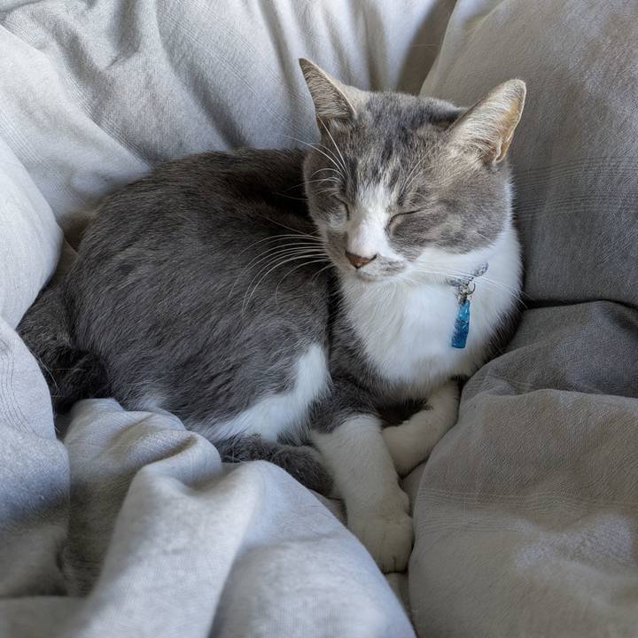 C3209a92 8174 4a20 b9df 53ec11b87e63 1762745356949