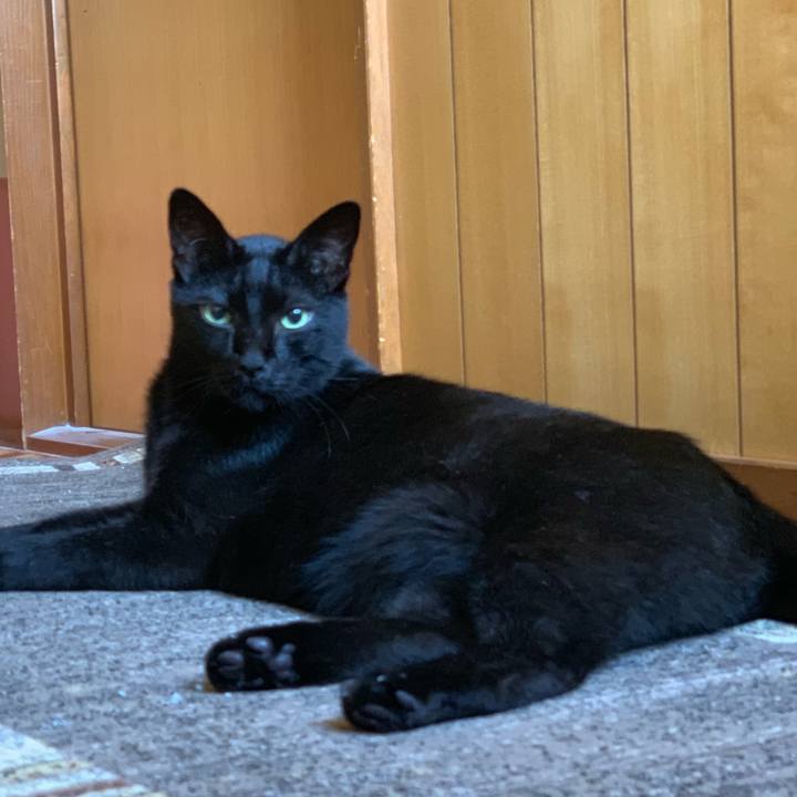 C320d754 bea3 4154 bc9a 44991b9b6c49 1566781182416