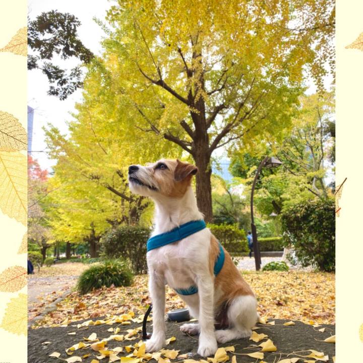 C320fce5 5fc6 4ee2 8065 b48c6b894923 1668350322740