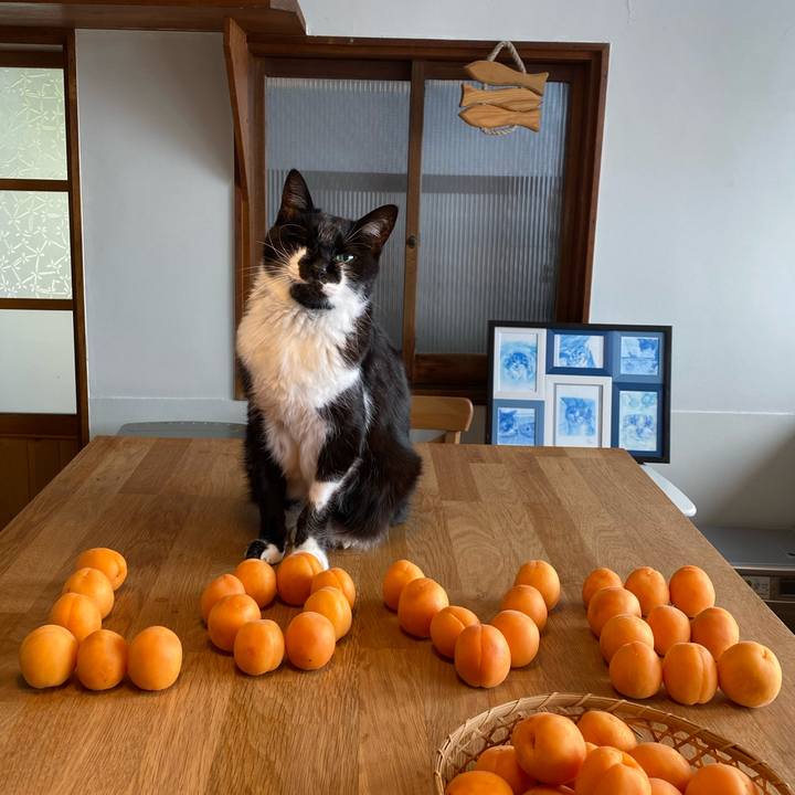 C3215b50 c48e 43ba 859f afd042d1fe64 1719785190632