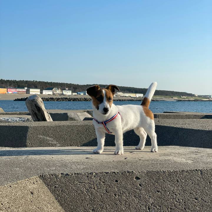 C3215d9c 5b5b 4c06 adc9 72a3e2afb164 1620897959932